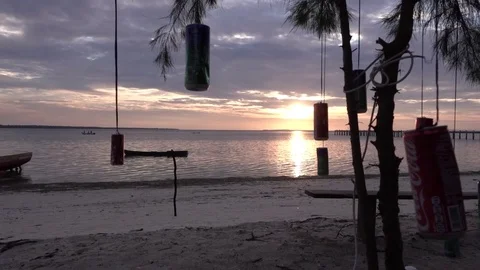 Silhouette of tree swaying at sunset Video stock 83115045