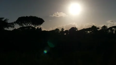 Silhouette of treeline Stock Footage 162403510