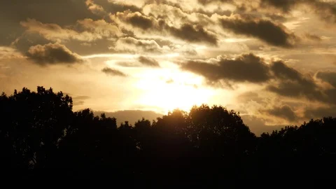 Silhouette of trees against a cloudy sunset Stock Footage 101220093