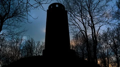 Silhouette of Trees and Branches in Forest Landscape Stock Footage 240153576