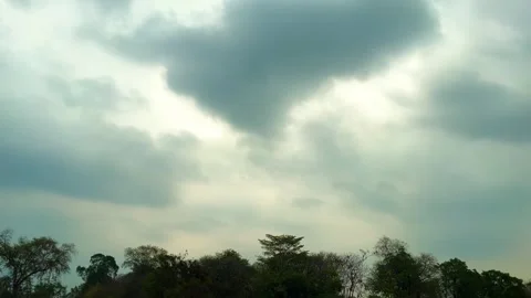 Silhouette trees border on murky sky background with grey clouds Stock Footage 310954065