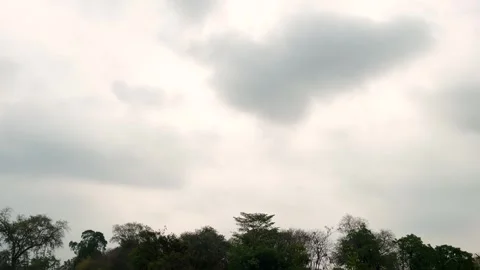 Silhouette trees border on murky sky background with light at Nong Khai Nam Stock Footage 311211228