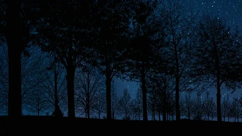Silhouette of Trees with Branches in Forest andﾠNature EcologyﾠOutdoors Video stock 239705270