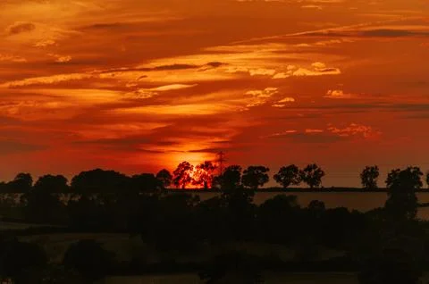 Silhouette of a trees during red sunset. summertime Stock Photos