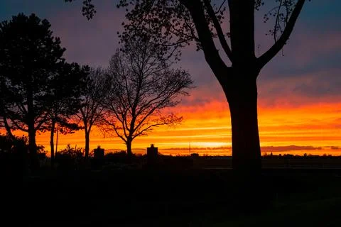 Silhouette of trees during sundown Foto stock