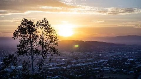 Silhouette of trees during sunset overlooking city, Townsville Australia Stock Photos