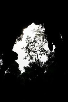 Silhouette of trees framing a bright cave opening at Batu Caves Stock Photos
