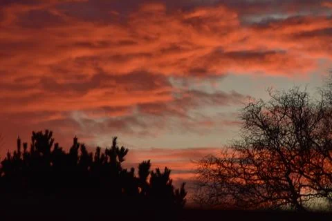 Silhouette of trees in front of a dramatic sky in Brightlingsea, Essex Stock Photos