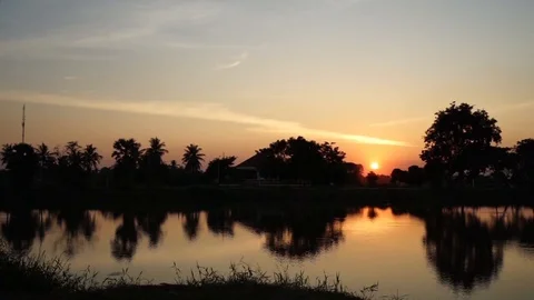 Silhouette of trees with lake on sunset Stock Footage 98916450