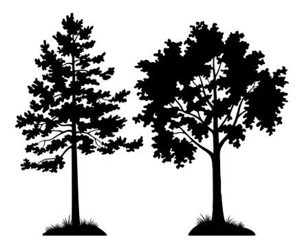 Silhouette Trees Pine and Maple Illustrazione stock