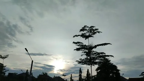 Silhouette of trees, street lamp posts and houses in the afternoon Stock Footage 296670815