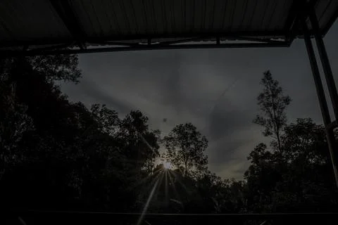 Silhouette of Trees with Sun Rays Stock Photos