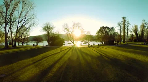 Silhouette of trees at sunset. aerial view. shadow. landscape. nature Stock Footage 35254192