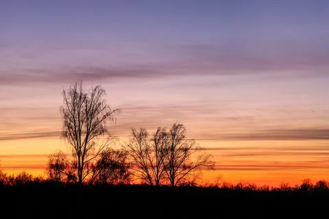 Silhouette of trees at sunset background Stock Photos