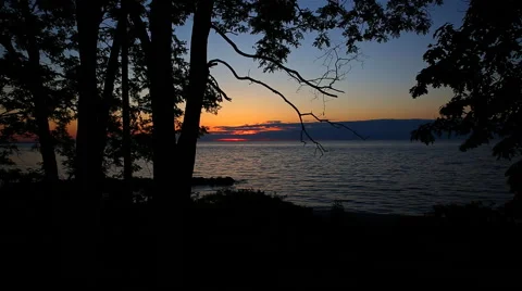 Silhouette Trees Sunset Stock Footage 57730017