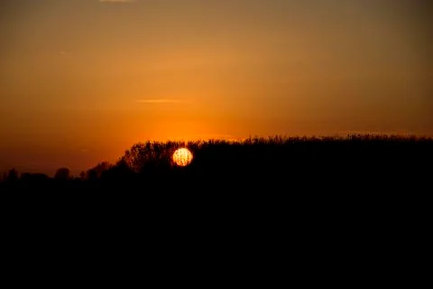 Silhouette of trees at sunset Stock Photos