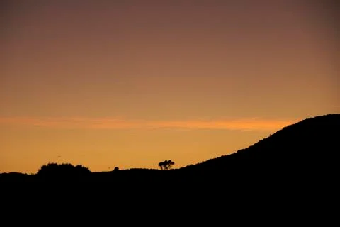 Silhouette of trees in a sunset Stock Photos