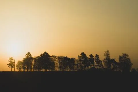 Silhouette of the trees at sunset. sun setting behind the forest Stock Photos