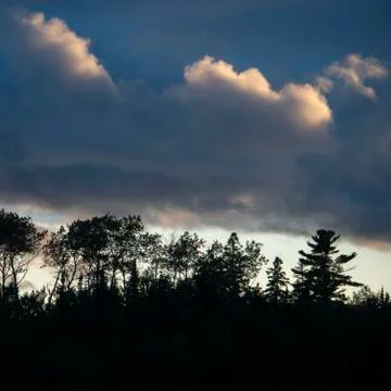 Silhouette of trees under dark clouds, Lake Of The Woods, Ontario, Canada Stock Photos