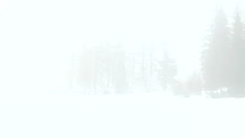 Silhouette of the trees in the winter mist Stock Footage 204869985