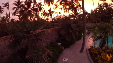 Silhouette of tropical trees on an island Stock Footage 54405053