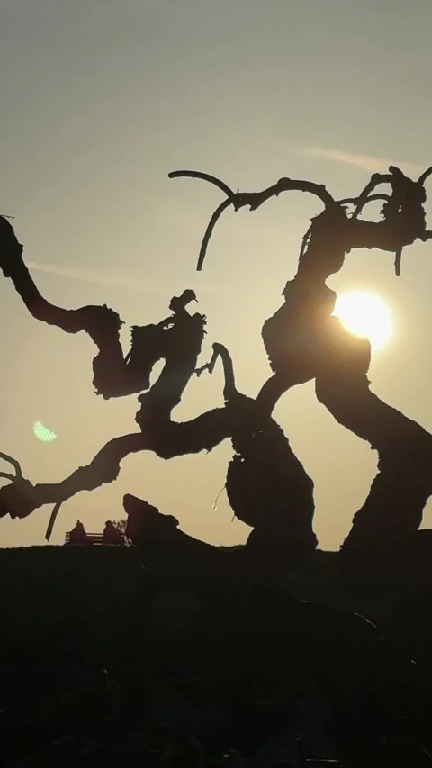 Silhouette of twisted tree branches at sunset with people sitting on hill, peace Video stock 330551133