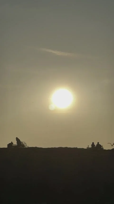 Silhouette of twisted tree branches at sunset with people sitting on hill, peace Stock Footage 330551134