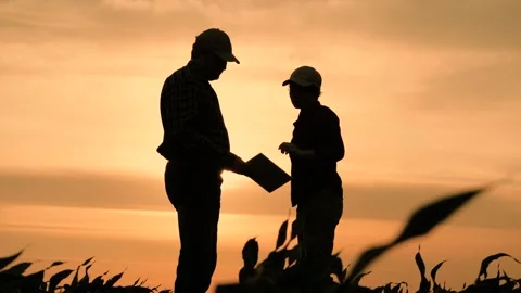 Silhouette two farmers work tablet, farming, teamwork group people, contract Stock Footage 244109280