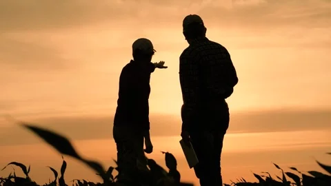 Silhouette two farmers work tablet, farming, teamwork group people, contract Stock Footage 244550634