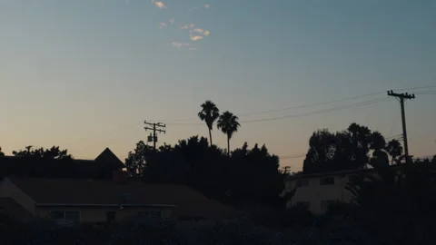 Silhouette of two Palm Trees at Sunset in Los Angeles Stock Footage 137968251