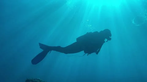 Silhouette of  two scuba divers exploring underwater world in 4K Stock Footage 324510003