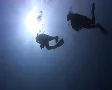 Silhouette of two scuba divers SD Footage