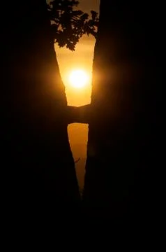 Silhouette of two trees and setting sun glowing between them Stock Photos