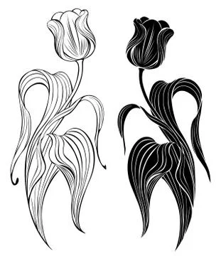 Silhouette of two tulips. Stock Illustration