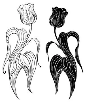 Silhouette of Two Tulips. Stock Illustration