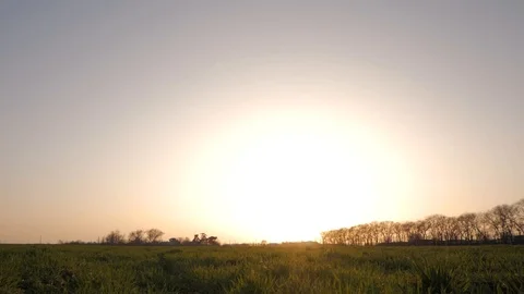 Silhouette of two young peoples in fields Video stock 88414305