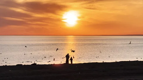 Silhouette of an unknown mother with two children feeding birds against the Stock Footage 309021627
