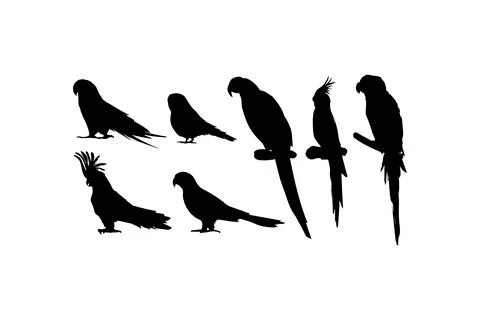 Silhouette of Various Parrots in Profile. Vector icon. Stockillustratie