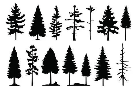 Silhouette various pines trees collections.Vector illustration Stock Illustration