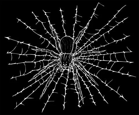 Silhouette vector illustration hanging spider on web thread 스톡 일러스트