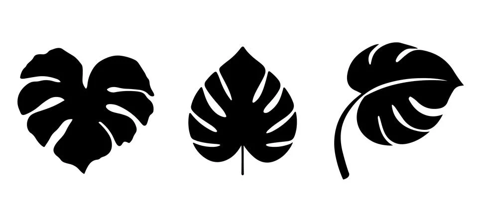 Silhouette vector set of Monstera Leaf Designs Stock-Illustration