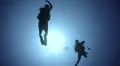 Silhouette view scuba diving couple HD Footage