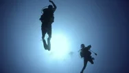 Silhouette View Scuba Diving Couple Stock Footage