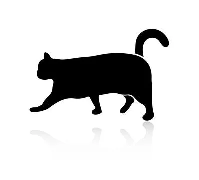 Silhouette of a walking cat, with reflection Illustrazione stock
