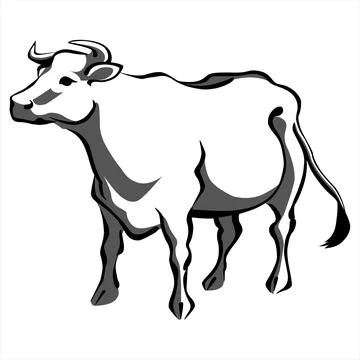 Silhouette of a white bull, on an isolated background, vector illustration Stock Illustration
