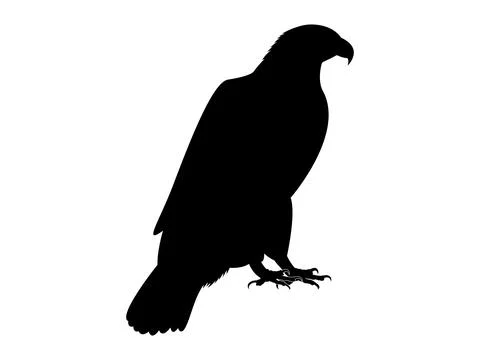 The silhouette of wild eagle vector art Stock Illustration