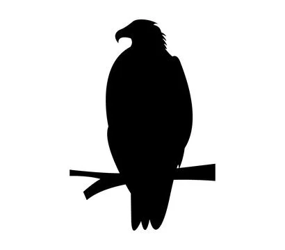 The silhouette of wild eagle vector art Stock Illustration