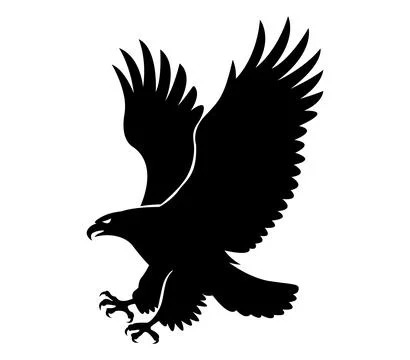 The silhouette of wild eagle vector art Stock Illustration