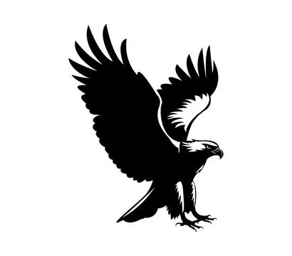 The silhouette of wild eagle vector art Stock Illustration