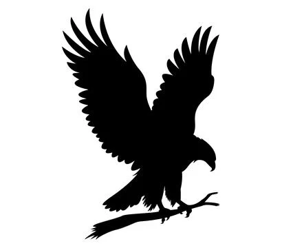 The silhouette of wild eagle vector art Stock Illustration